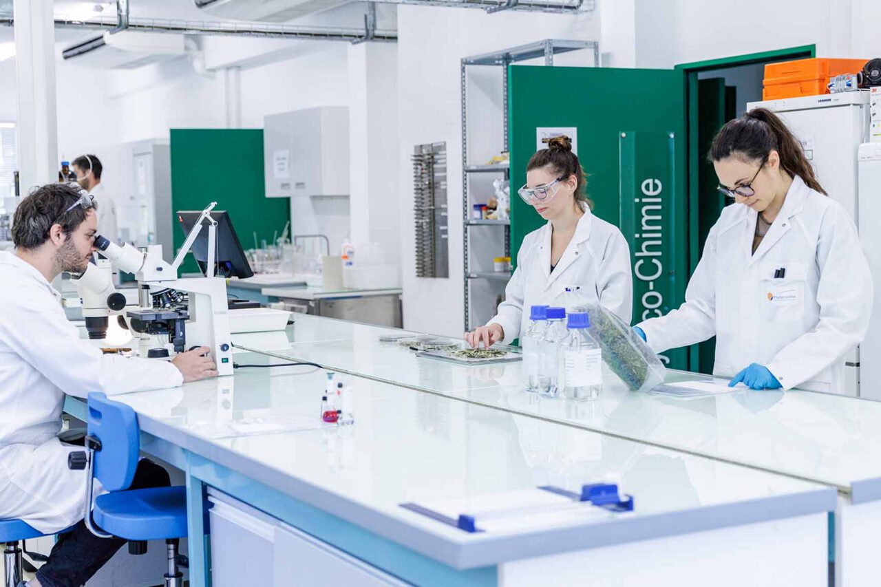 Reportage photo laboratoire Phytocontrol avec équipe en espace éco-chimie