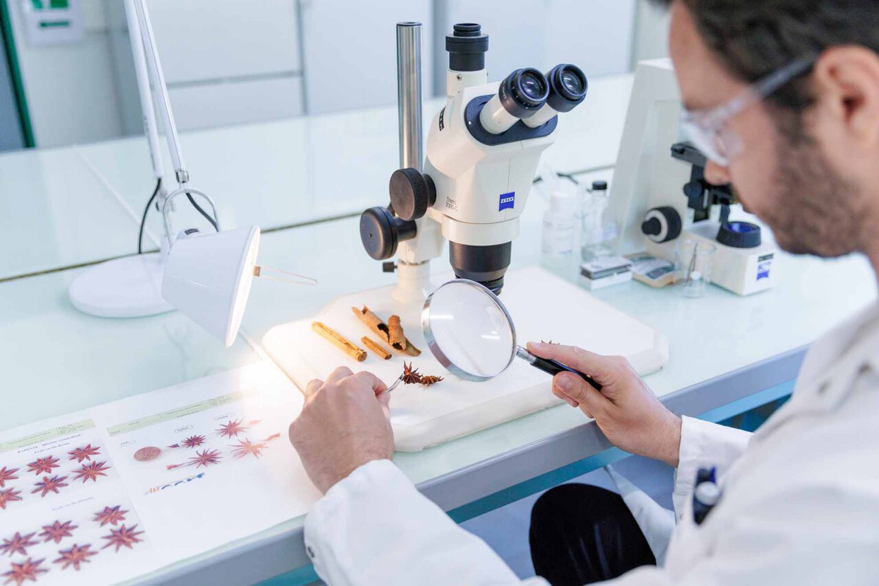 Reportage photo laboratoire Phytocontrol avec observation d’échantillons végétaux